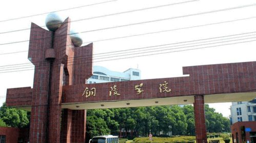 21屆美術(shù)生選擇機(jī)會變多了 這些院校或?qū)⑿？颊惺彰佬g(shù)生