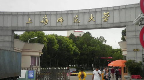 2020年新增專業(yè)名單 美術(shù)類專業(yè)擴(kuò)展，助力本科教育多元化